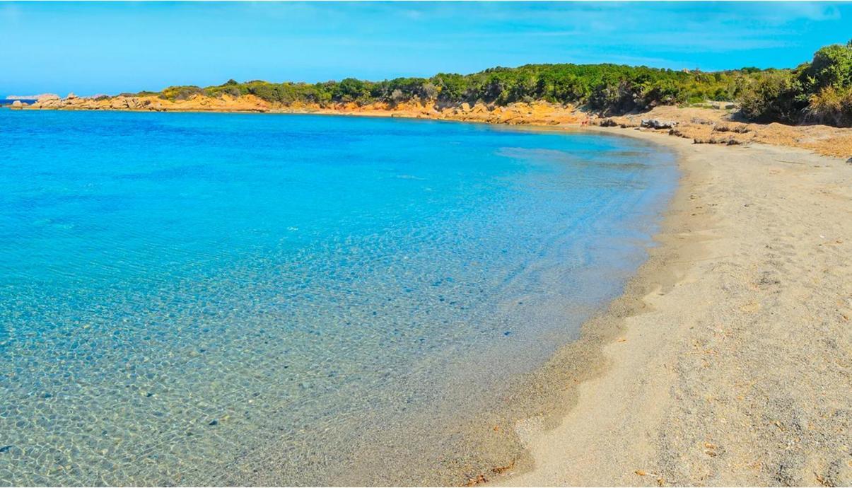 Maisonnette Climatisee A 35M De La Plage De La Capte Hyeres Hyères Exterior foto